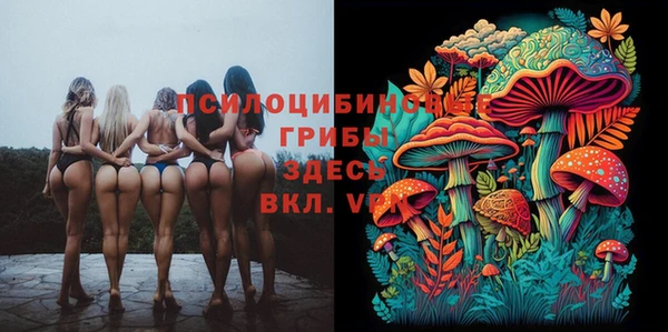 гашик Слюдянка